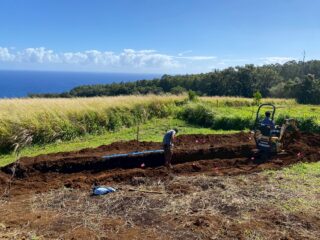 ハワイ島　学生米作りプロジェクト
